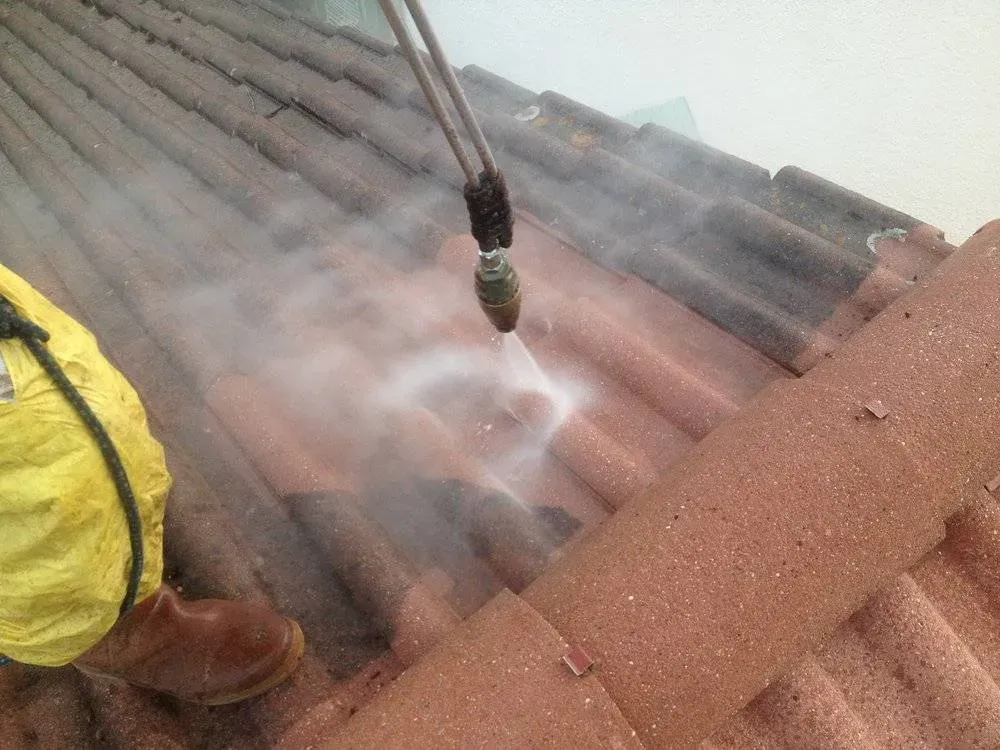 Démoussage de toiture près de Feurs