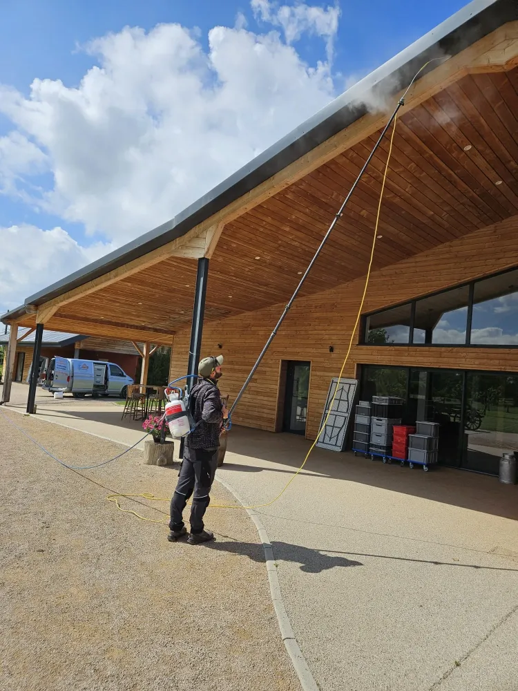 Traitement contre les guêpes